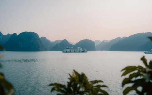 iStock by Getty Images