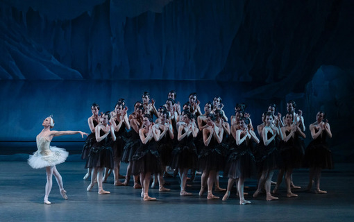 The New York City Ballet
