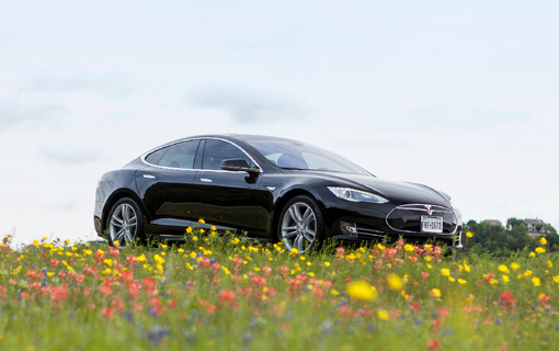 Avis Rent A Car