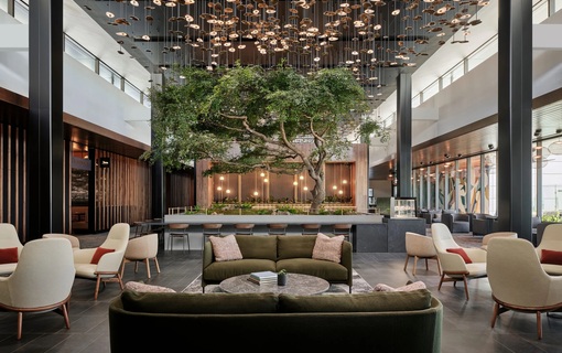 Lounge Pass
